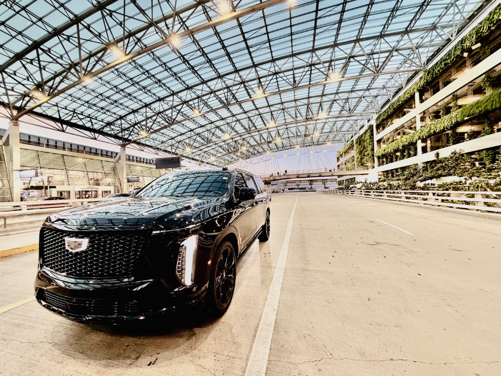 M Executive Car fleet 1