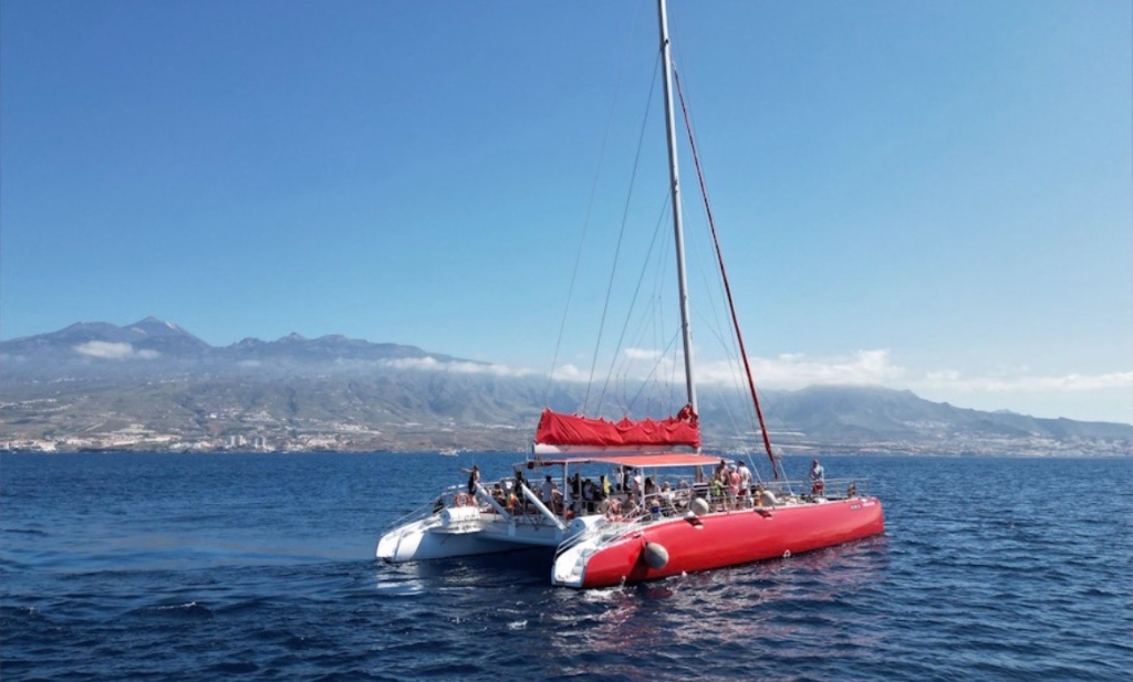 Paseo en barco privado