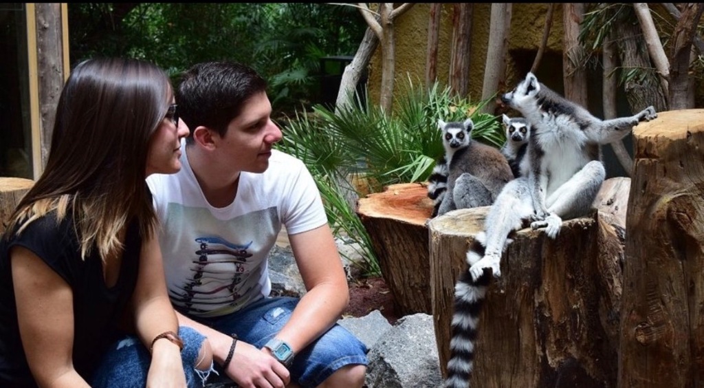Jungle Park