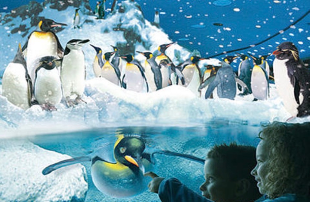 Loro Parque