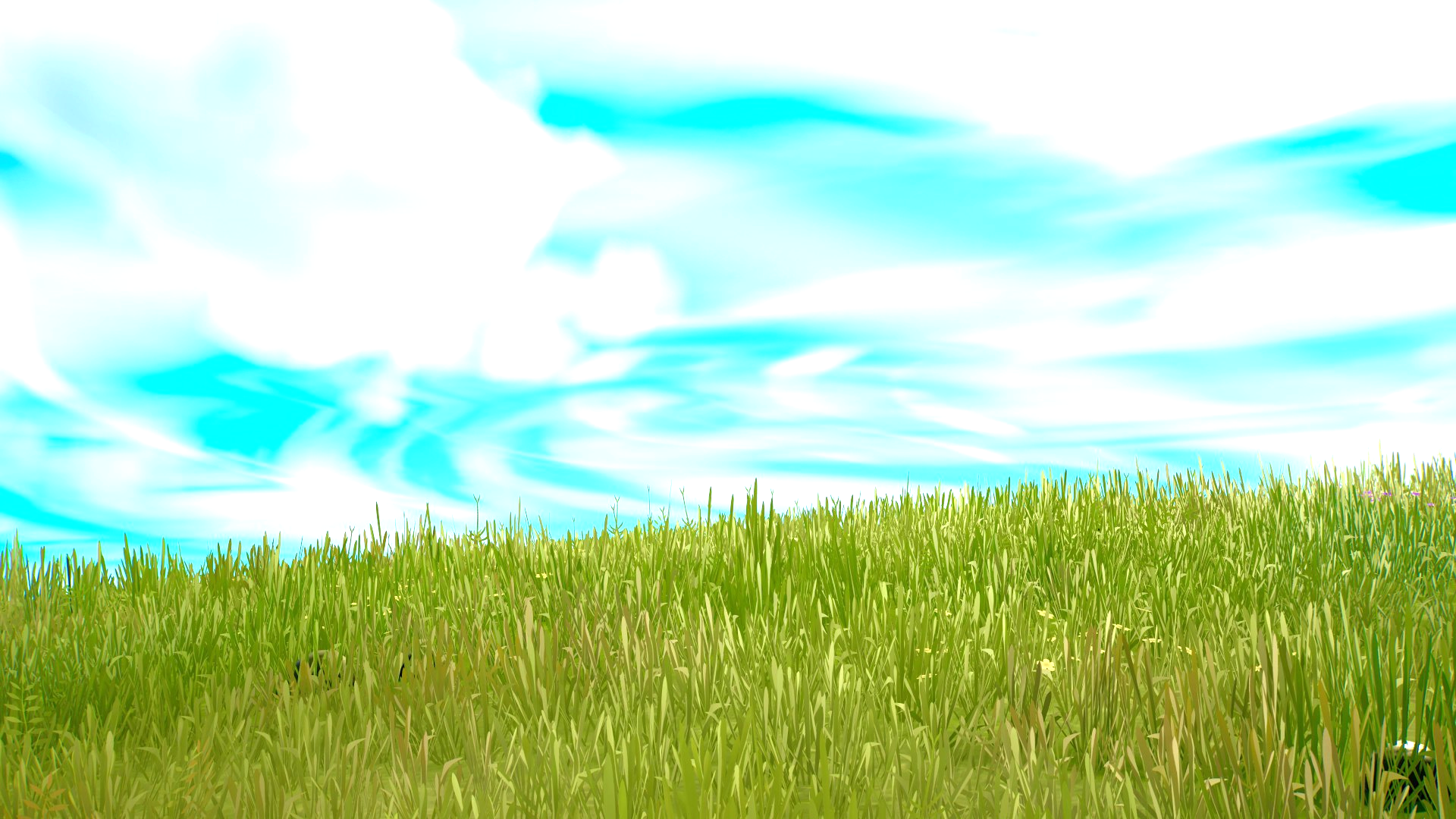 Grassy Field Sky