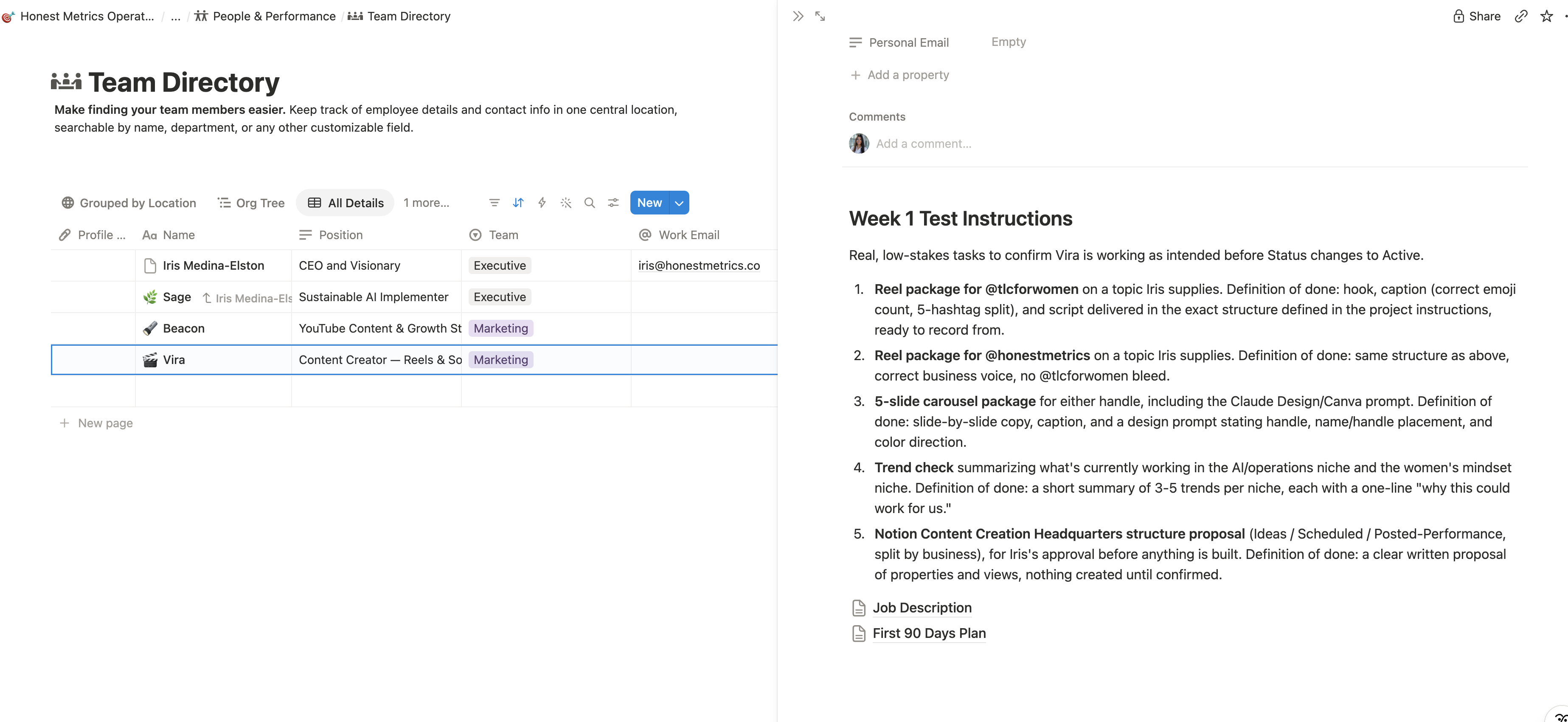 Vira's Week 1 Test Instructions onboarding plan in Notion