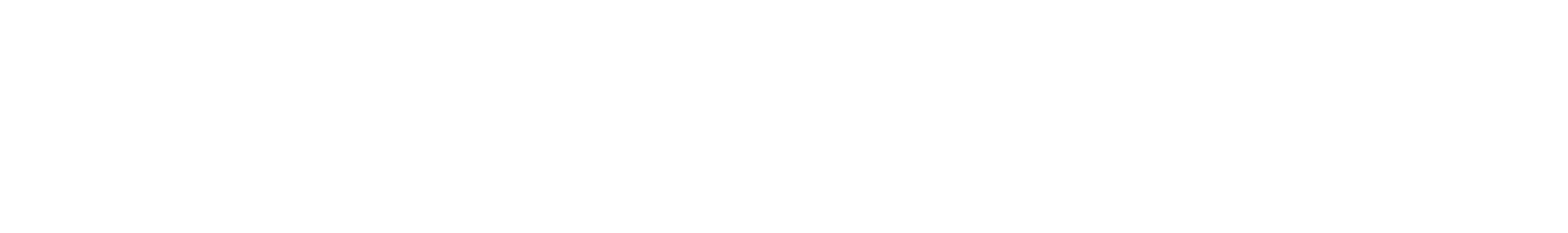 EZVI / EZVI-CH4™
