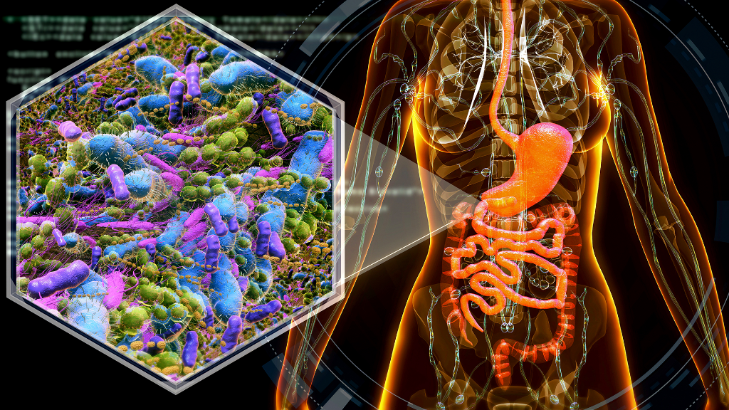 The Microbiome: The Hidden Middleware Layer That Runs Your Health