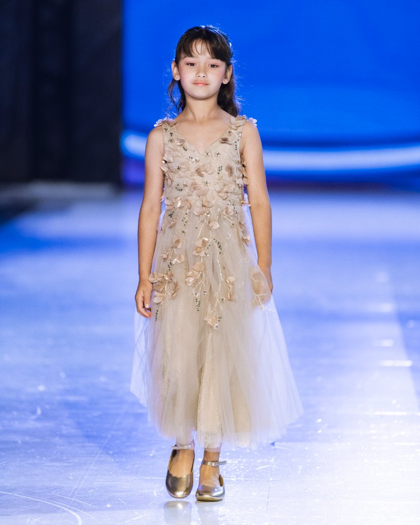 Princess Dream