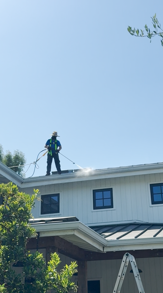 Rhine Cleaning exterior cleaning service