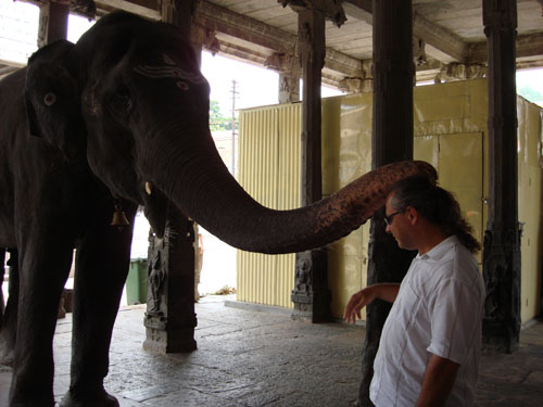 Benedetto dall'elefante