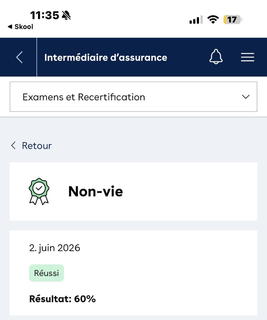 Non-vie — 60%