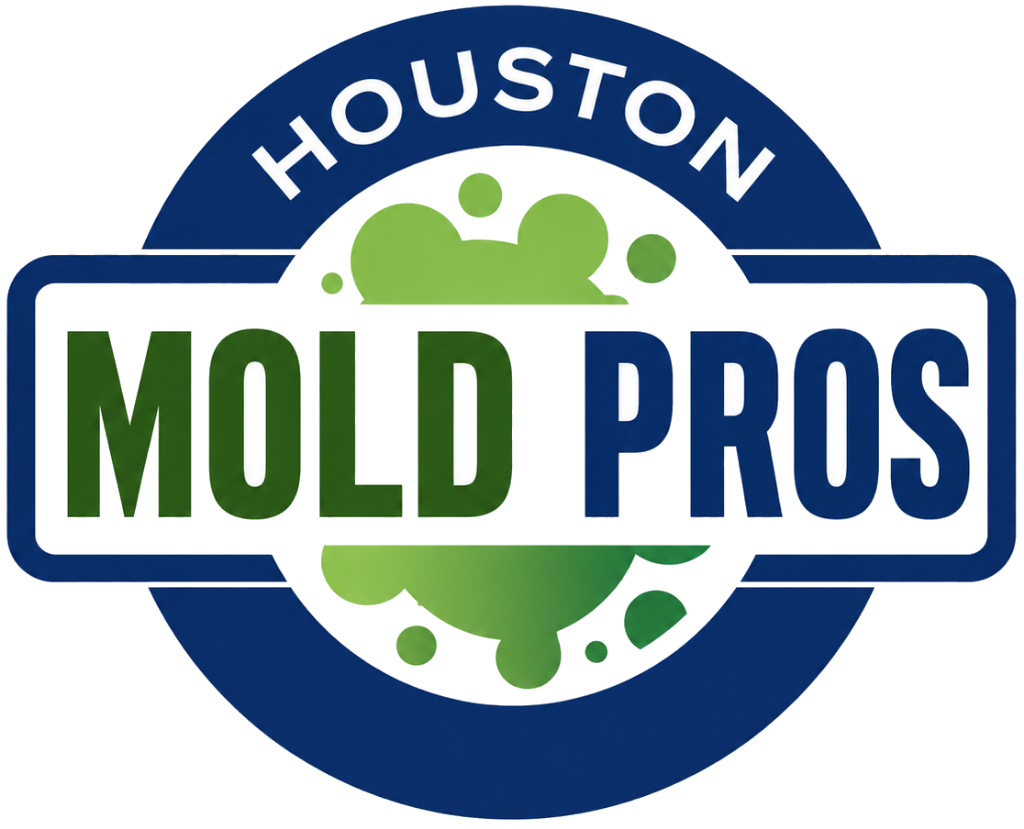 Houston Mold Pros