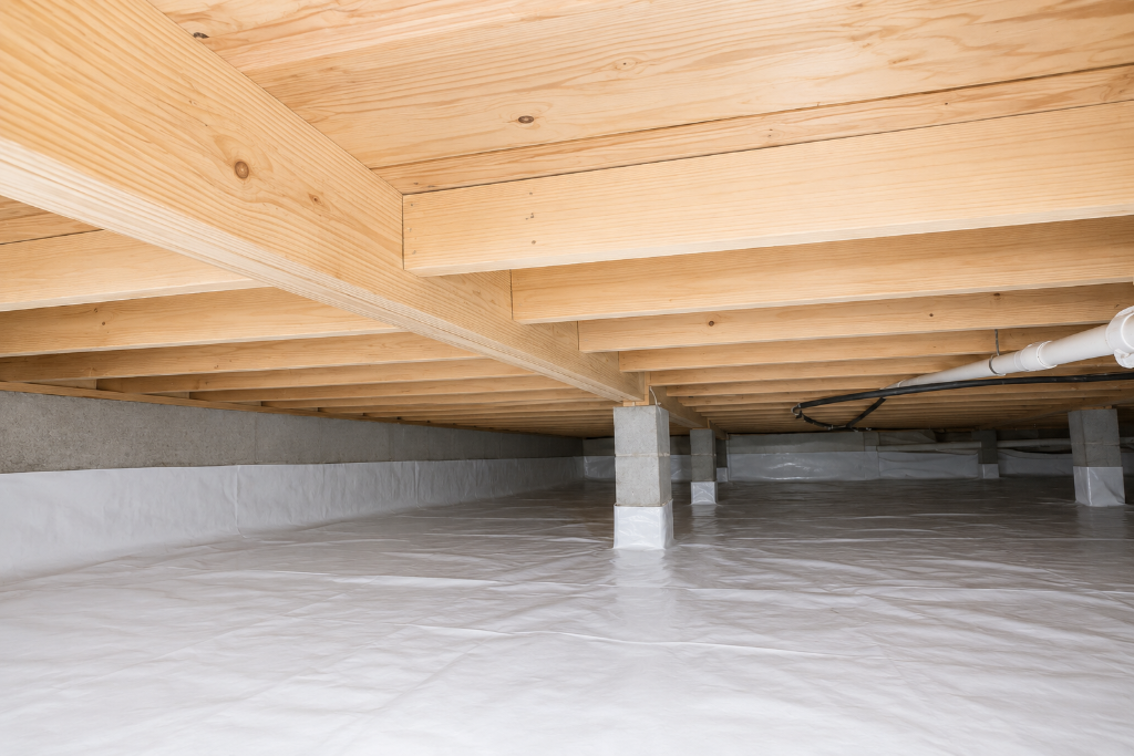 After - Crawl Space Mold & Moisture Control