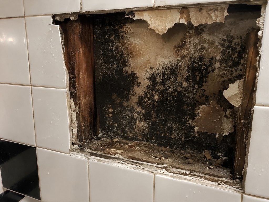 Before - Bathroom Wall Mold Removal