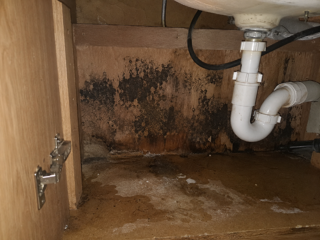 Before - Kitchen Cabinet Mold Treatment