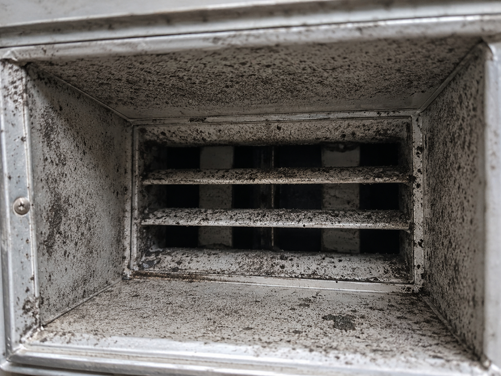 Before - AC Duct Mold Remediation