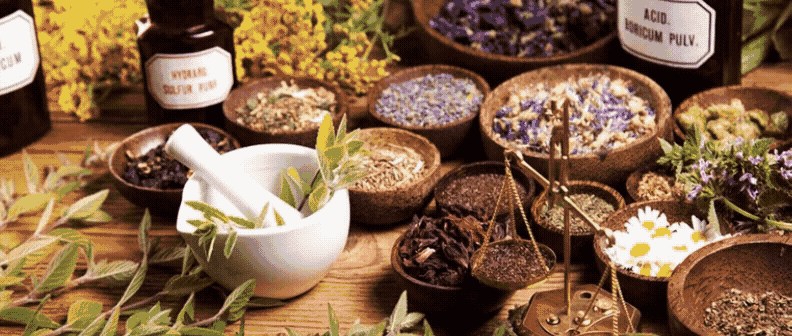 Herbal medicine botanicals