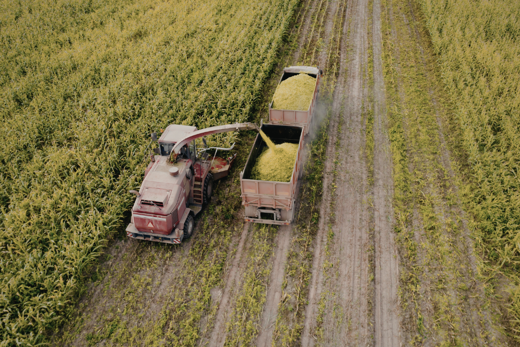Agriculture