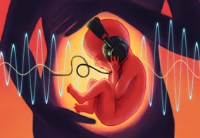 The Study of Sound