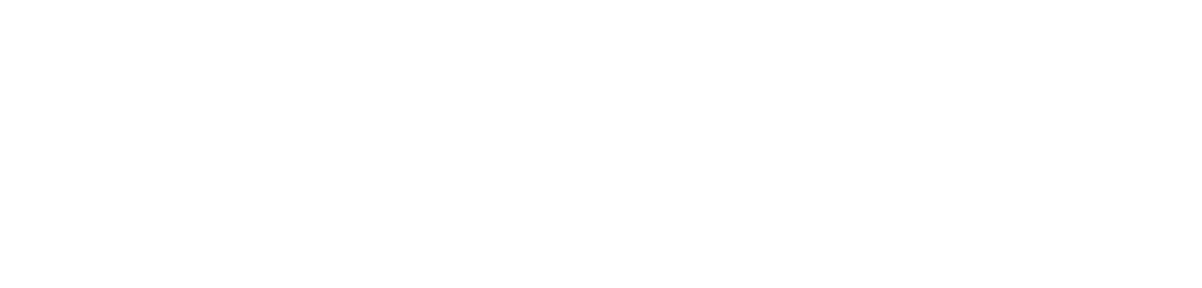 MASSIV