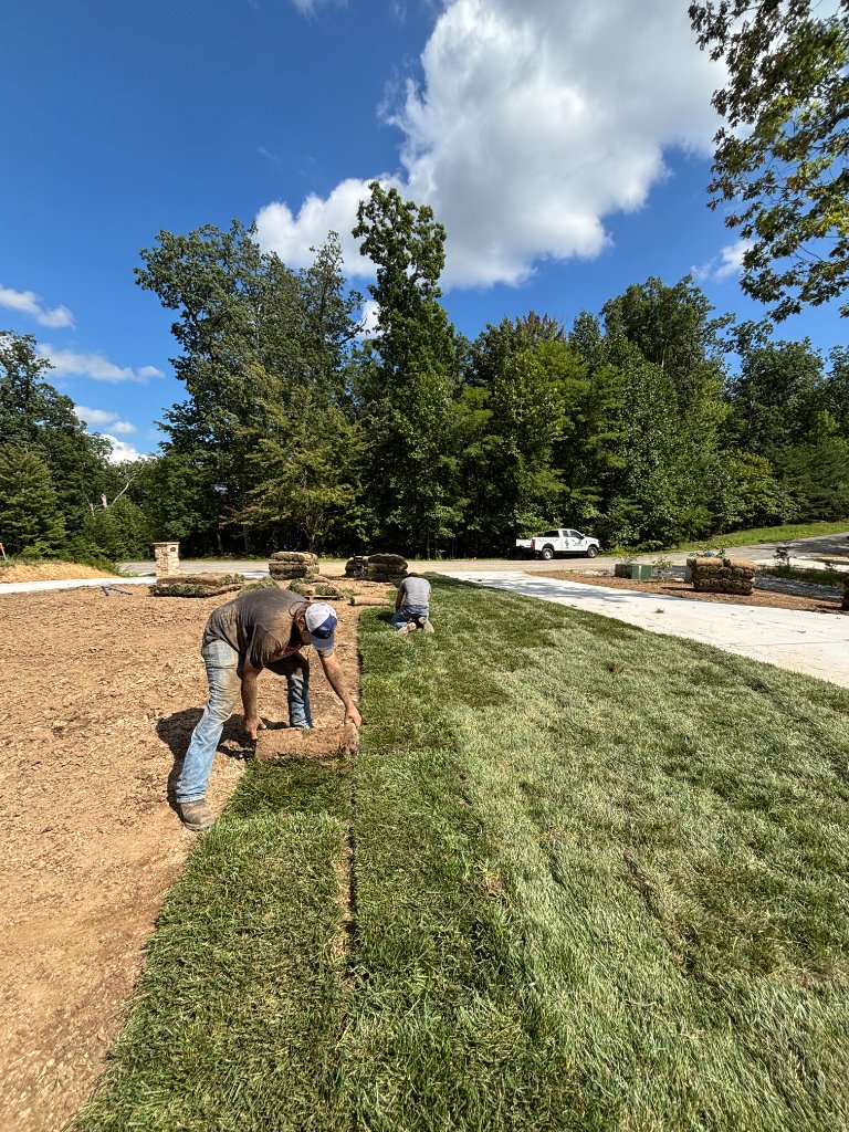 Sod & Seed Installation