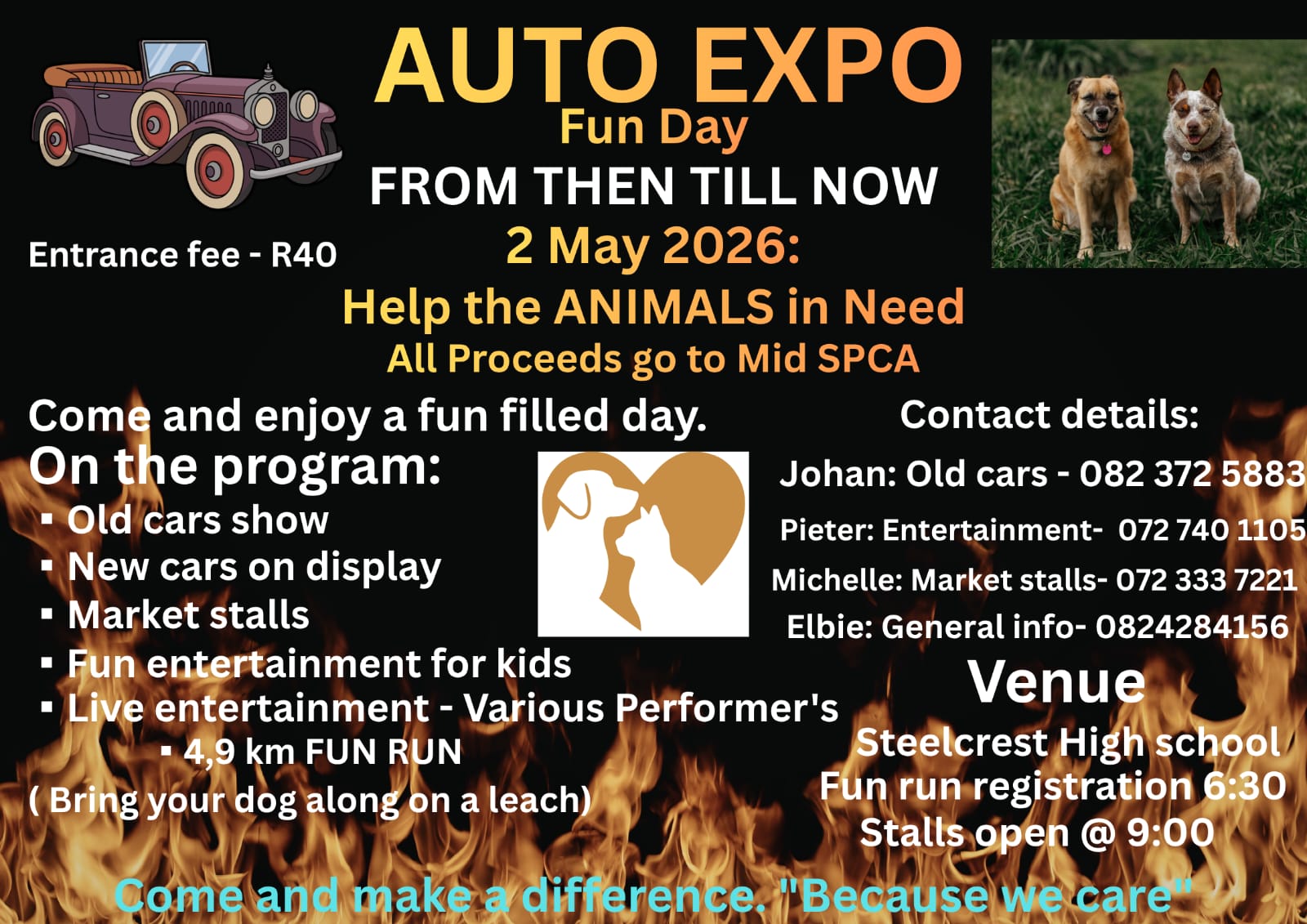 Cars Expo