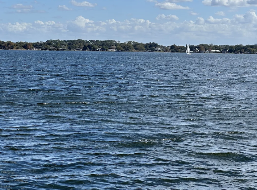 Plunge scene