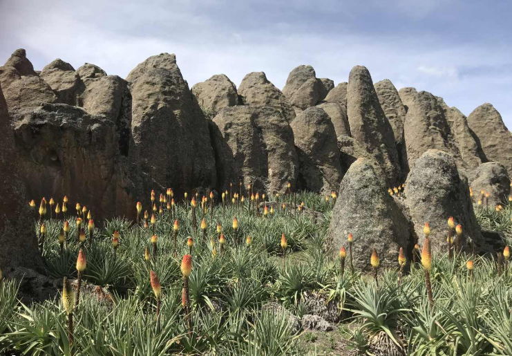 Bale Mountains National Park