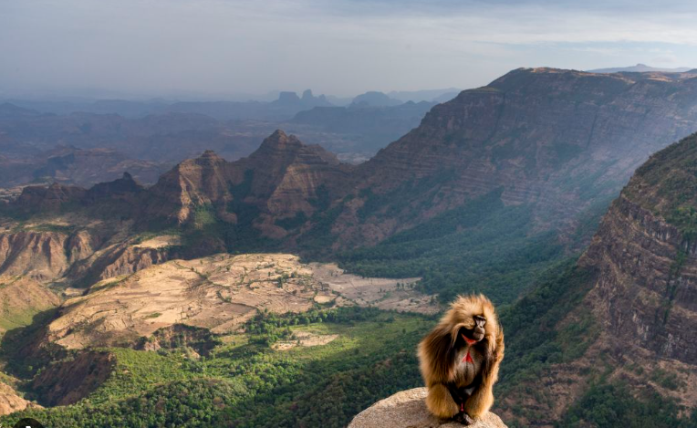 Rift Valley Lakes — Cultural & Heritage
