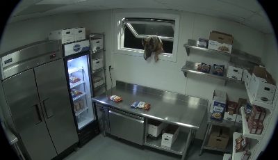 CCTV Night Shift: Dog Snack Heist