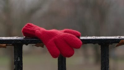 The Red Glove Seasons