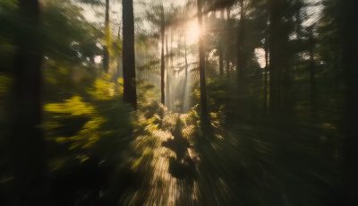 River of Light
