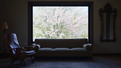 A Year at the Window