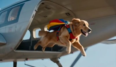 Skydiving Treat Quest