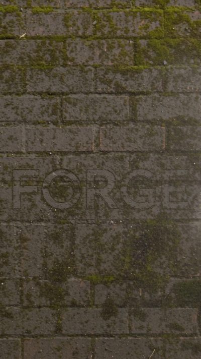 Forge Beneath the Grime