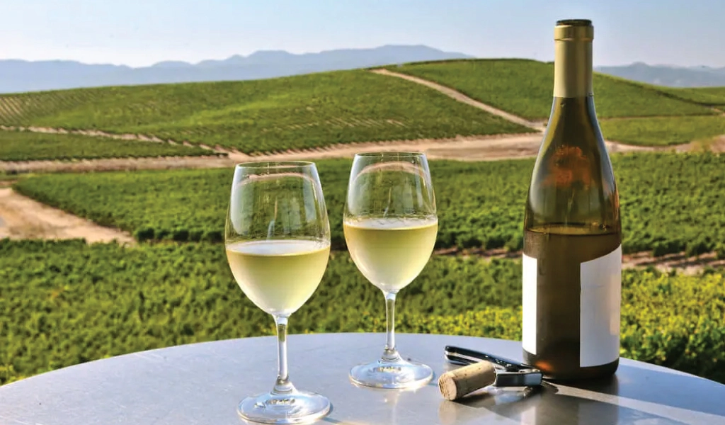 A glass among the vines