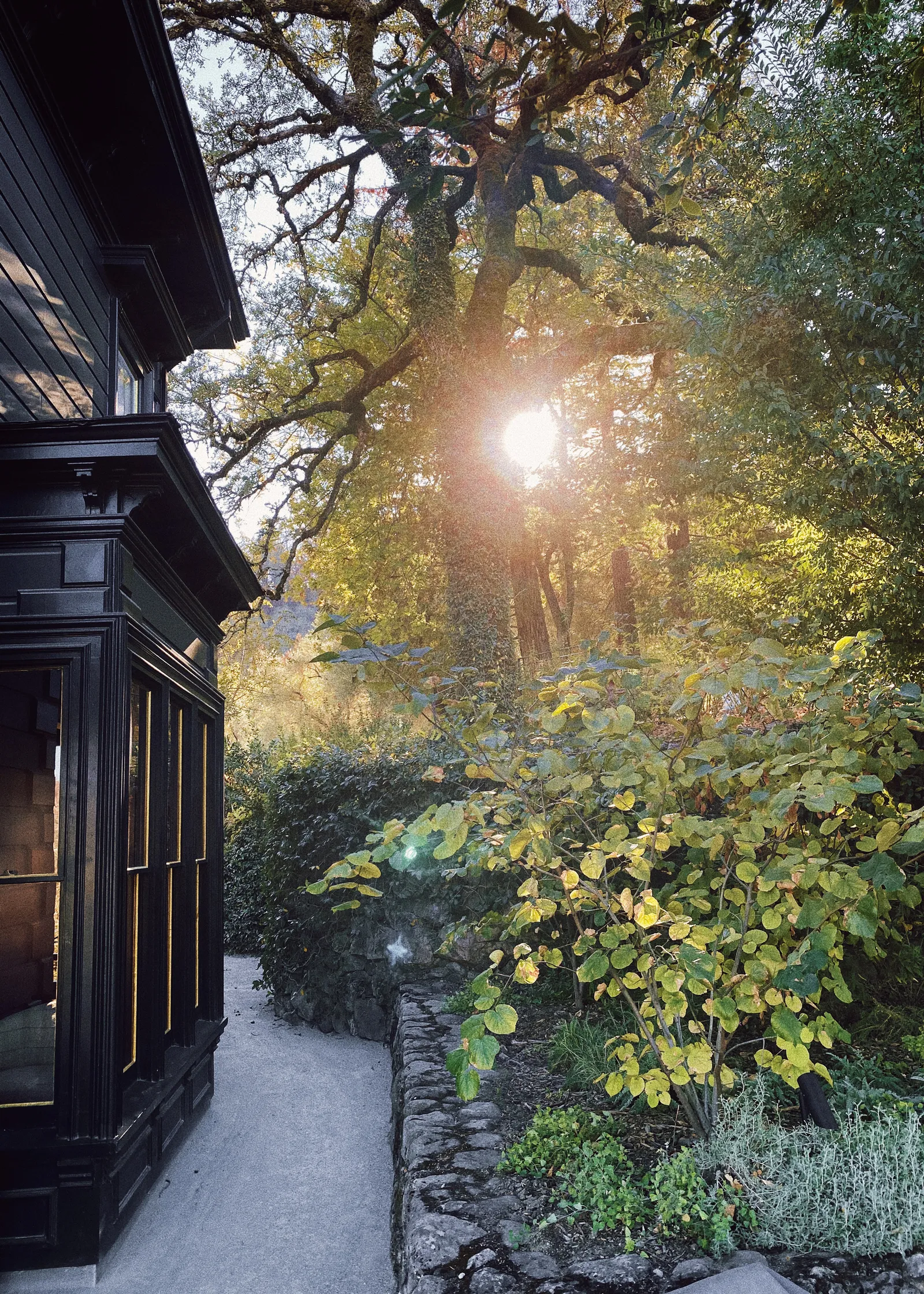 Garden light at dusk
