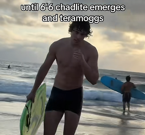 TERA CHAD Brev