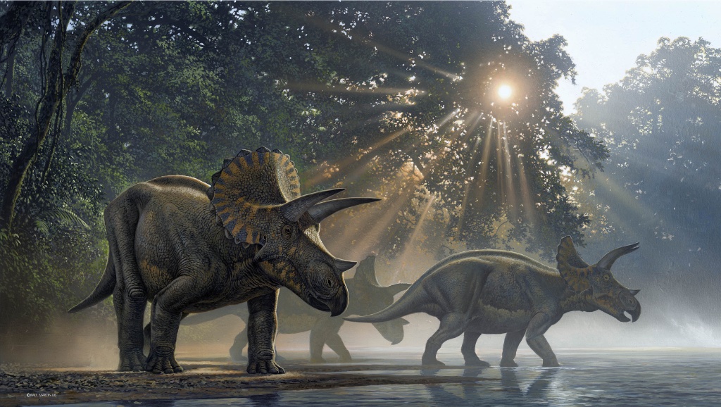 Triceratops horridus