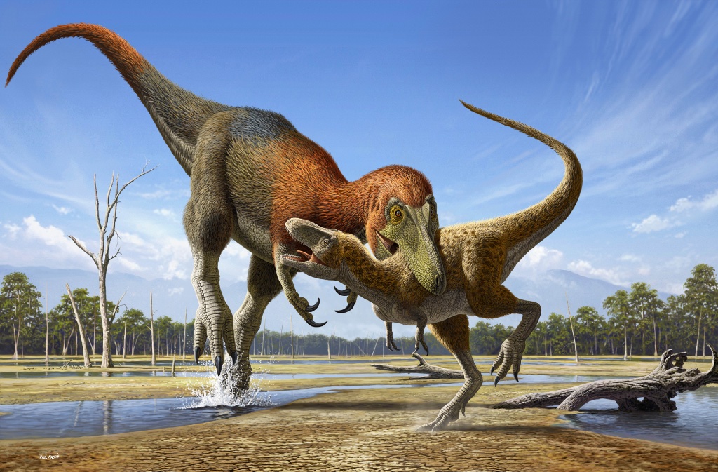 Nanotyrannus lethaeus