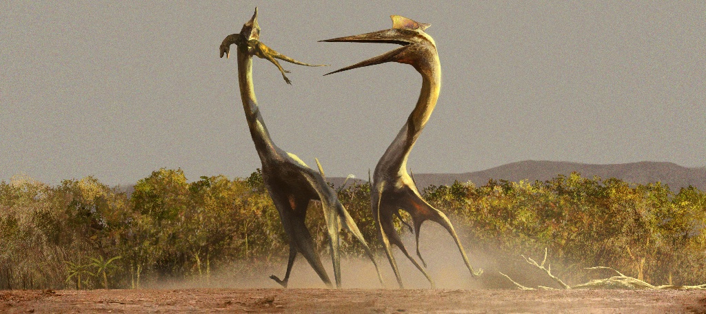 Giant Hell Creek Azhdarchid