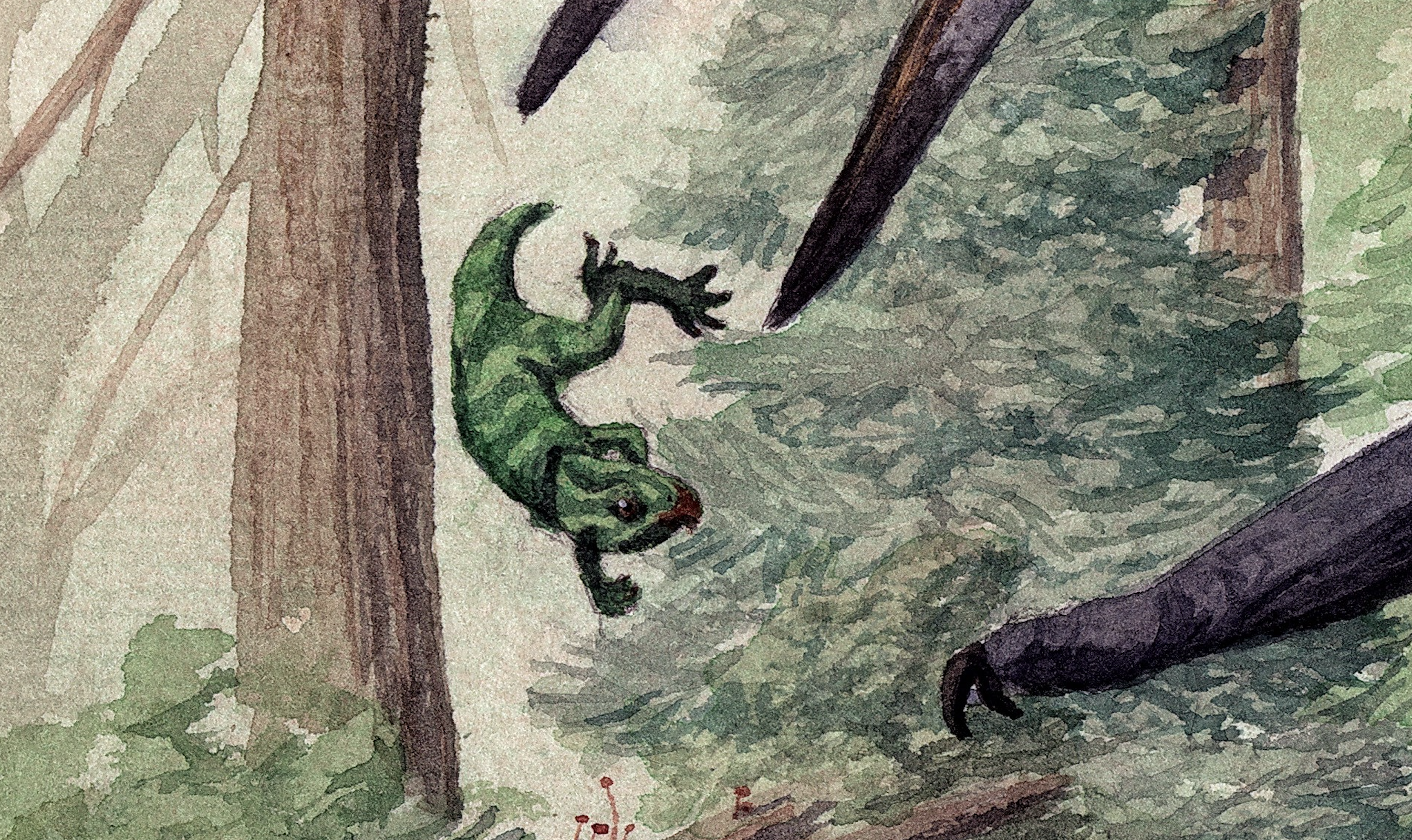 Leptoceratops gracillis hatchling