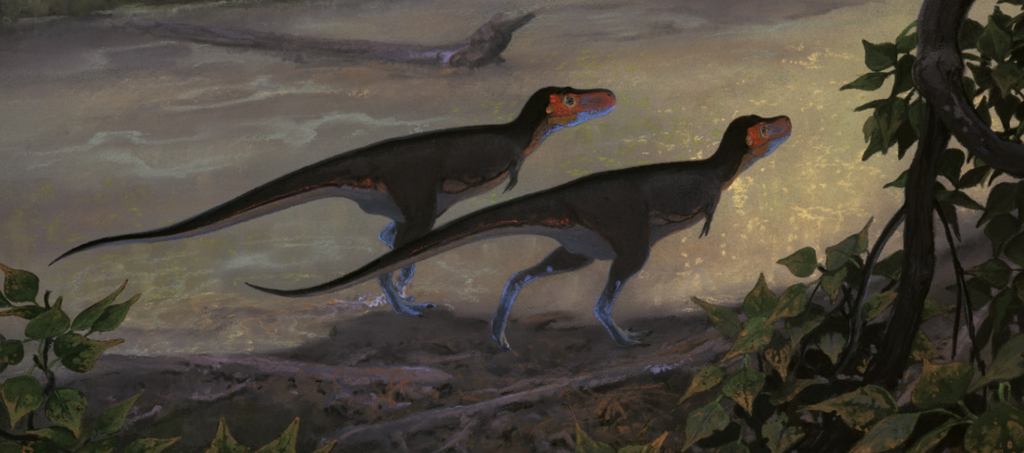 Nanotyrannus lancensis