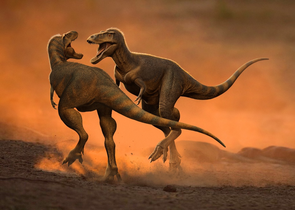 Tyrannosaurus rex juvenile
