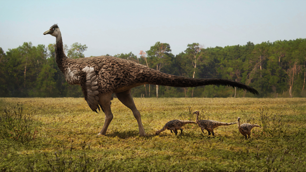 Ornithomimus velox