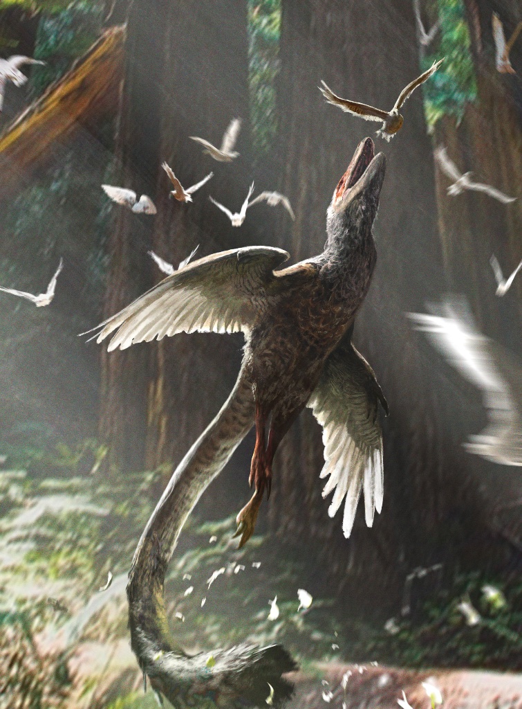 Acheroraptor temertyorum