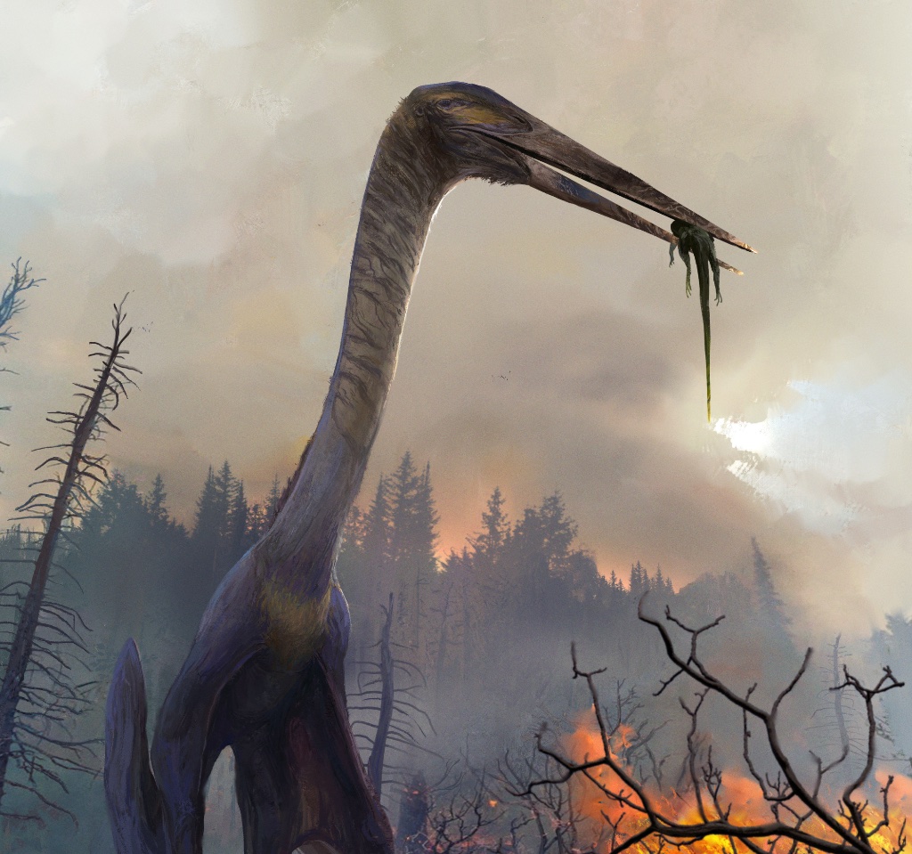 Infernodrakon hastacollis