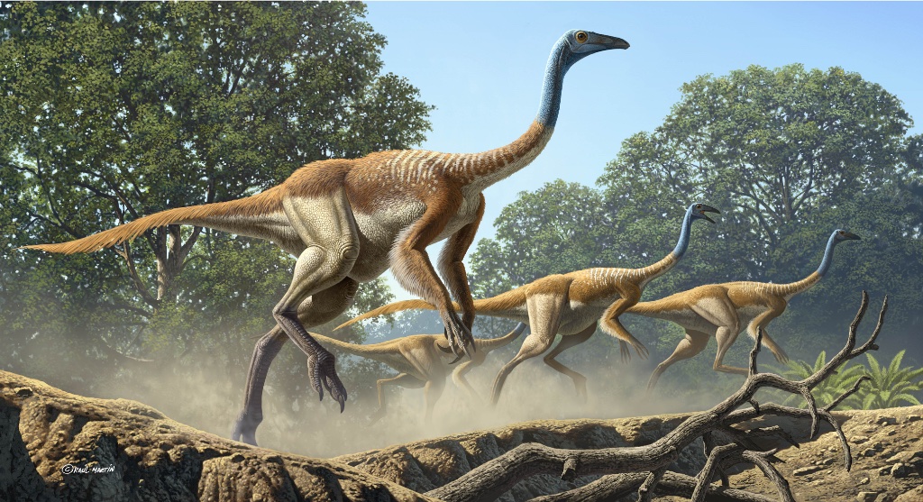 Struthiomimus sedens