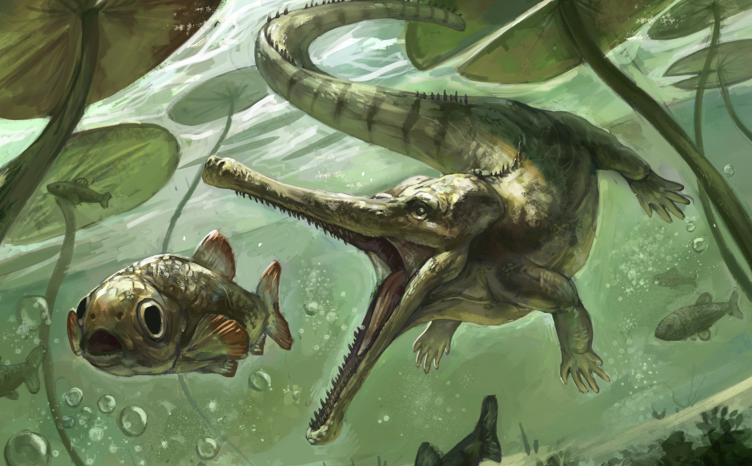 Champsosaurus juvenile