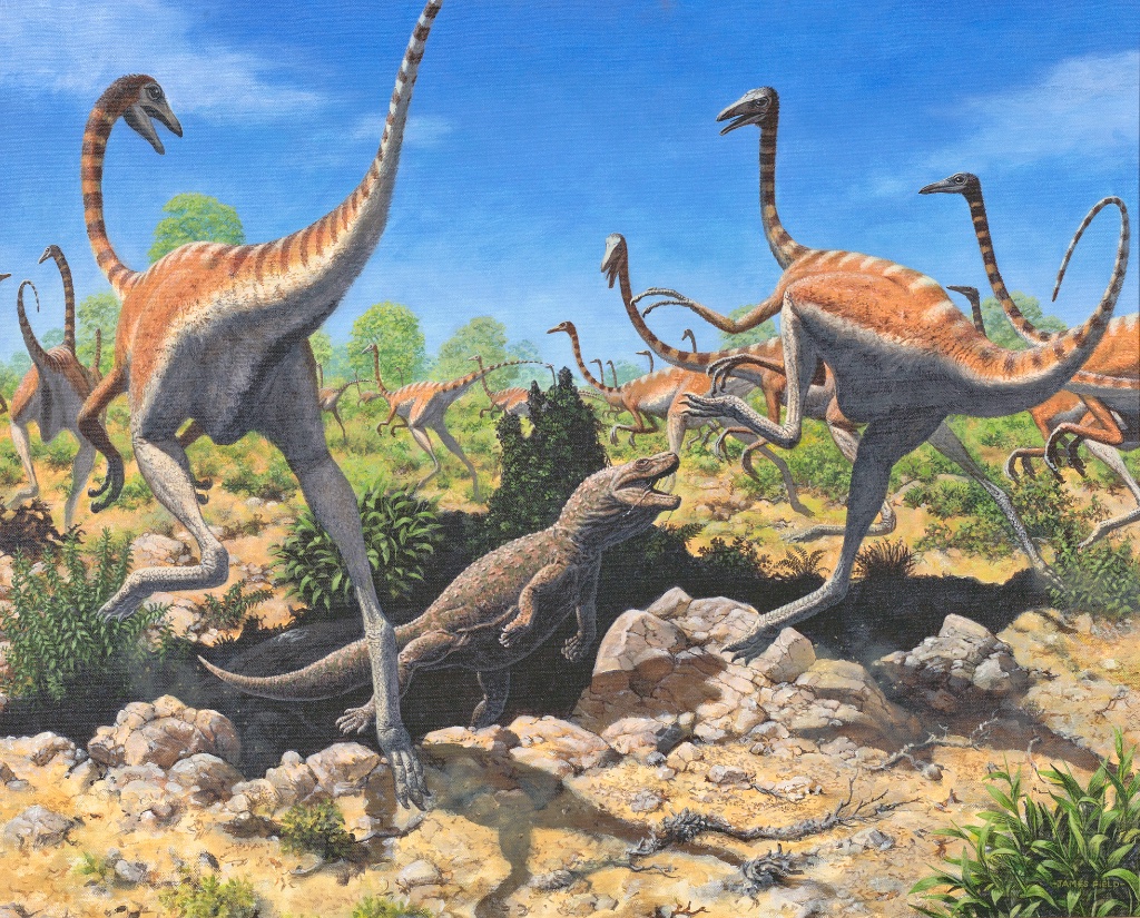 Palaeosaniwa canadensis