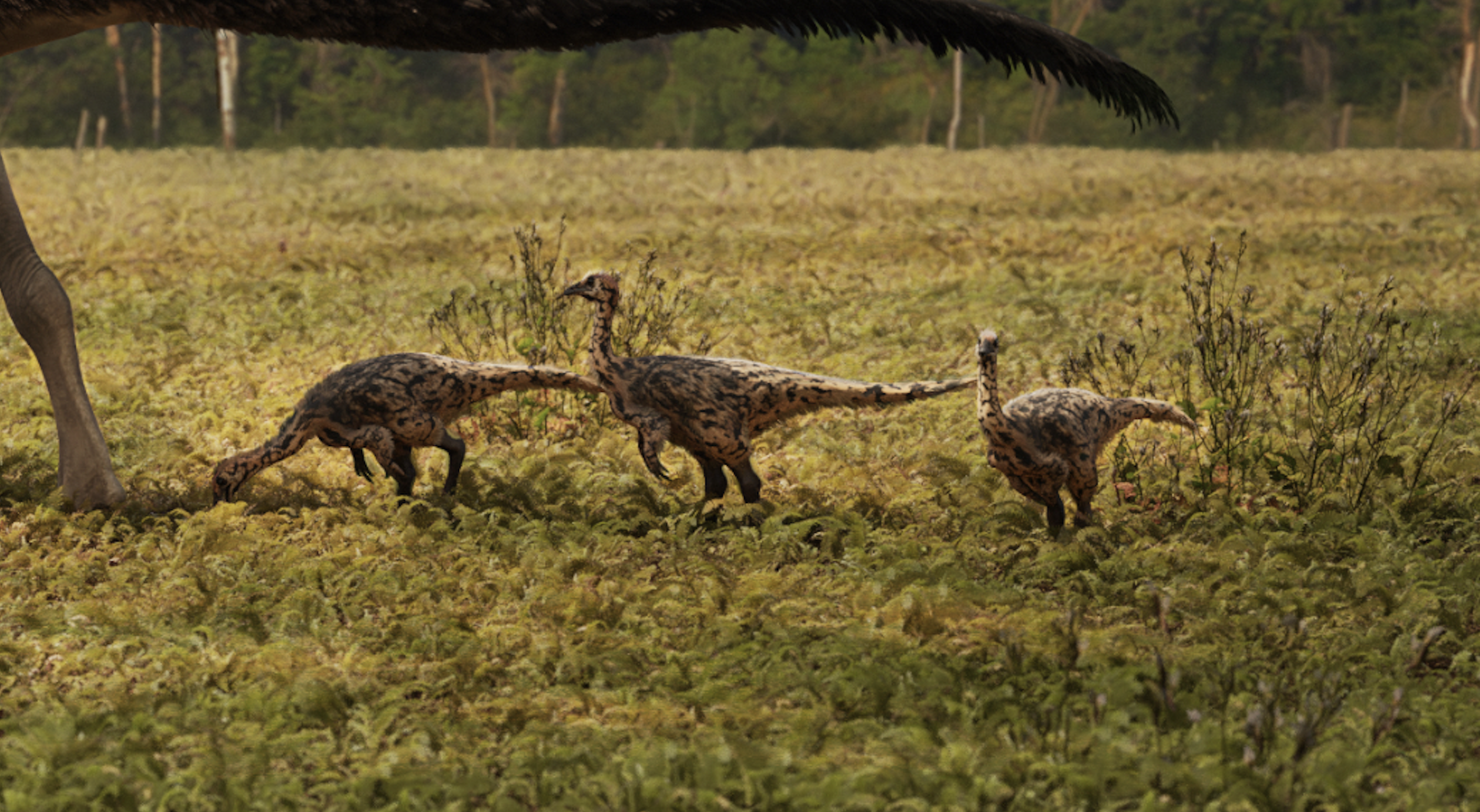 Ornithomimus velox fledgeling
