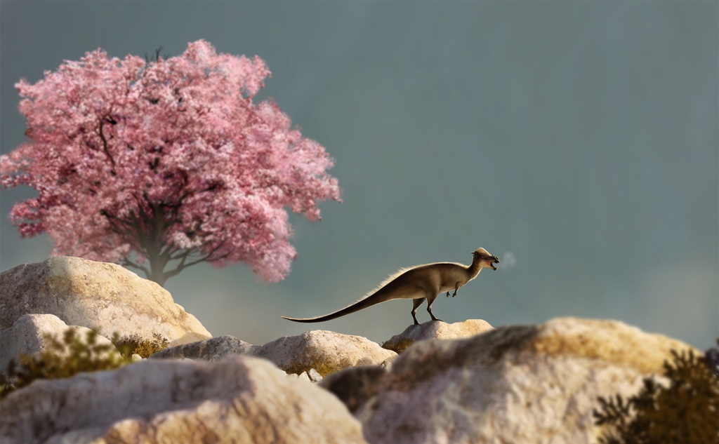 Pachycephalosaurus wyomingensis