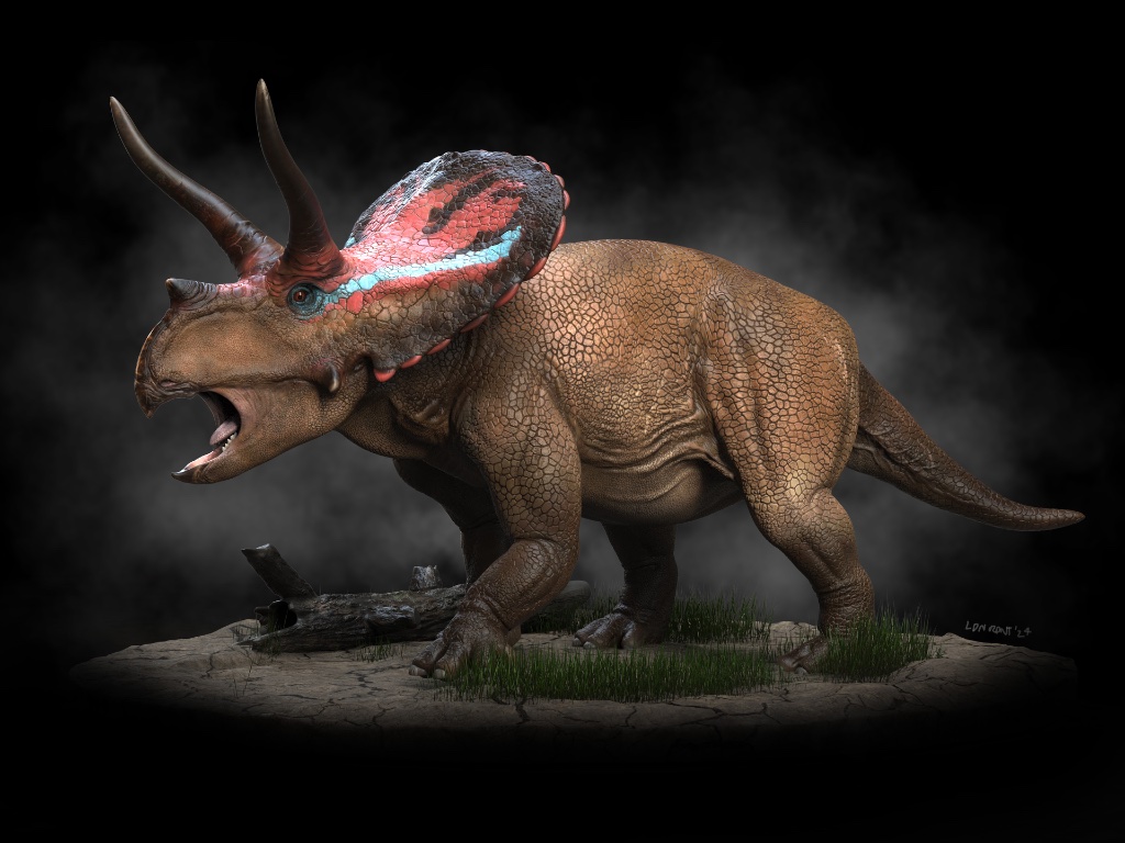 Torosaurus latus